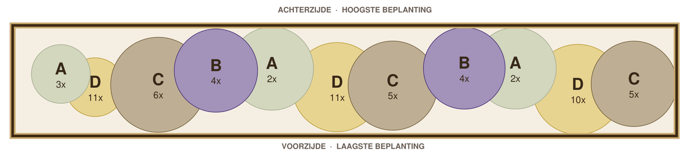 Beplantingsplan: smalle border in de schaduw op zandgrond, tekening op schaal