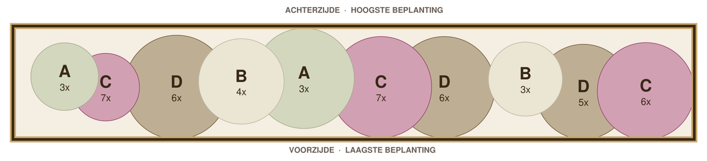Beplantingsplan: smalle border in de schaduw op rivierklei, tekening op schaal