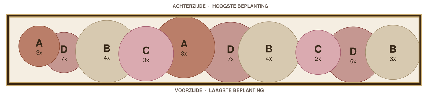 Beplantingsplan: smalle border in de zon op rivierklei, tekening op schaal