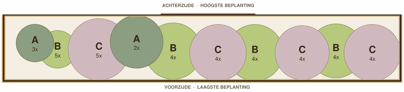 Beplantingsplan voorbeeld: moderne border in de schaduw op dekzand, 6 m², tekening op schaal met plantvakken A tot C