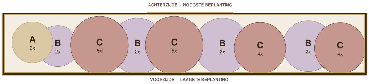 Beplantingsplan voorbeeld: mediterrane border in de zon op leem, 6 m², tekening op schaal met plantvakken A tot C