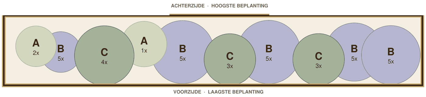 Beplantingsplan voorbeeld: wellness border in de schaduw op zeeklei, 6 m², tekening op schaal met plantvakken A tot C